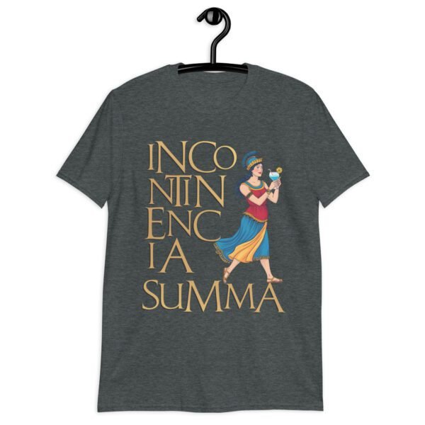 Camiseta original y única con la frase graciosa: Incontinencia Summa, en color gris oscuro